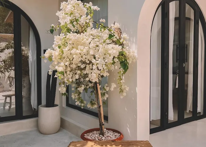 New! Stylish In The Heart Of - Nooca Bali